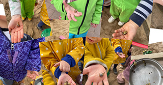 Kinder sammeln Schnecken